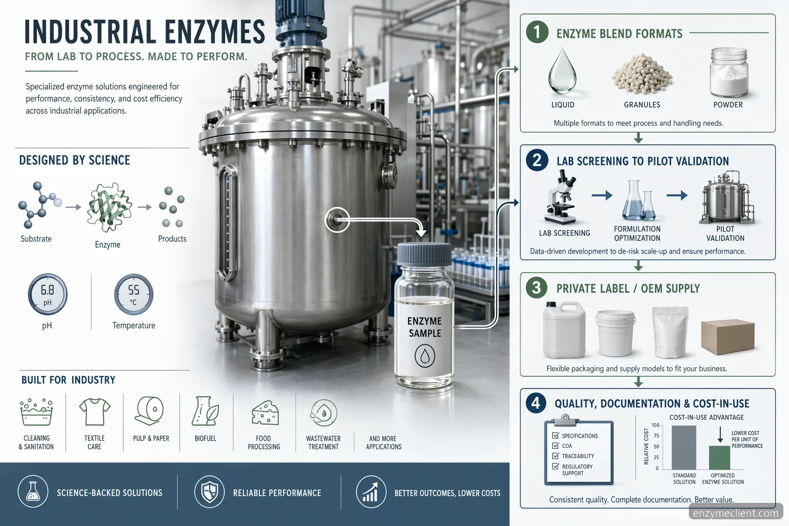 custom enzyme formulation supplier for custom formulation page infographic showing blend formats, validation, OEM, QA