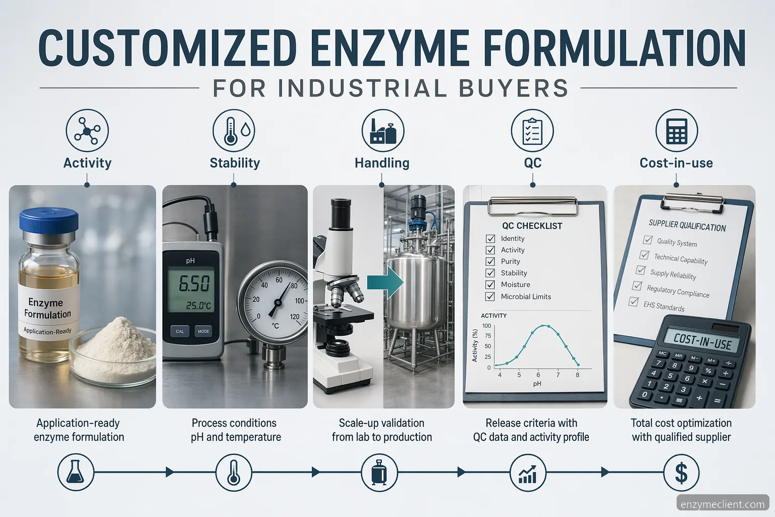 customized enzyme formulation for industrial buyers, infographic showing activity, stability, handling, QC and cost-in-use