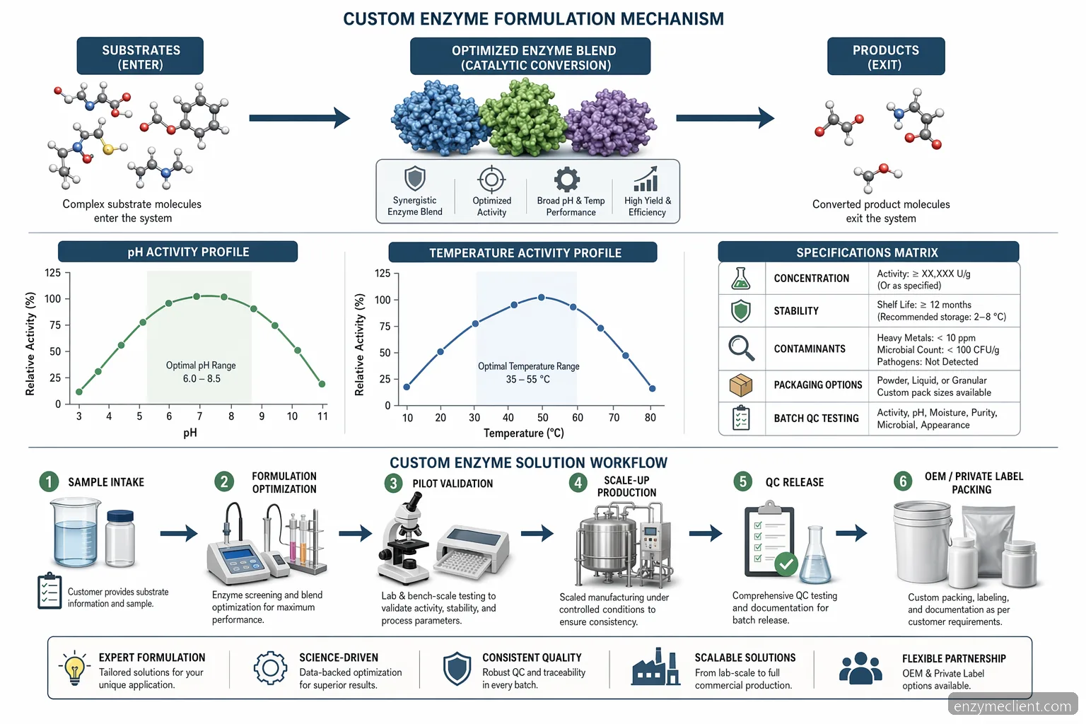 custom enzyme formulation faqs supplier guide: substrate-to-product workflow with pH, temperature, QC, and scale-up checkpoints